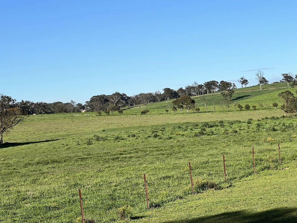 Southern Crowe Excavations | 31/33 Fitzroy St, Hill Top NSW 2575, Australia | Phone: 0415 668 971