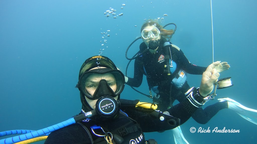 Ricks Dive School | travel agency | 33 Hamlyn Dr, Port Macquarie NSW 2444, Australia | 0422063528 OR +61 422 063 528
