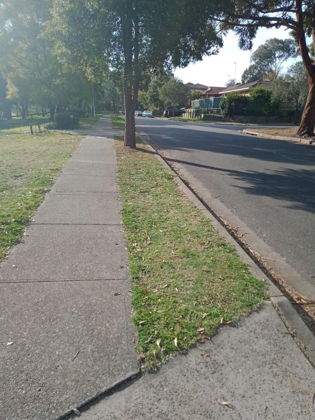 Western Lawn Care | 27-29 Albert St, Werrington NSW 2747, Australia | Phone: 0434 221 416