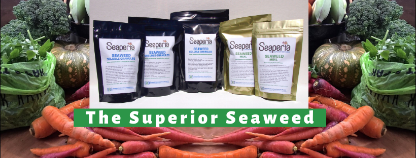 Seaweed Enterprises Australia | 22 Countryview Dr, Atherton QLD 4887, Australia | Phone: 0422 332 162