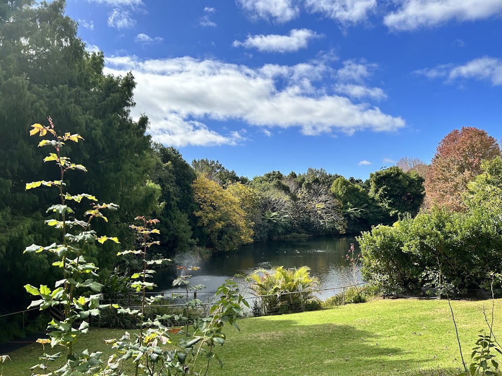 Cedar Creek Estate Restaurant & Cafe | 104 Hartley Rd, Tamborine Mountain QLD 4272, Australia | Phone: (07) 5545 1666
