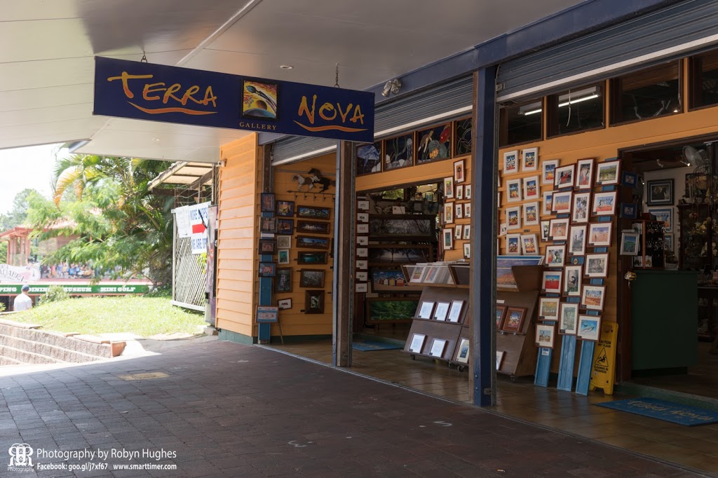 Terra Nova Gallery | art gallery | 15 Therwine Street, Kuranda QLD 4872, Australia | 0740938814 OR +61 7 4093 8814