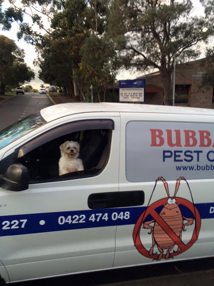 Bubba Gump Pest Control - General Pest Treatments, Fumigation &  | home goods store | suite 2/273 Fowler Rd, Illawong NSW 2234, Australia | 0285441227 OR +61 2 8544 1227
