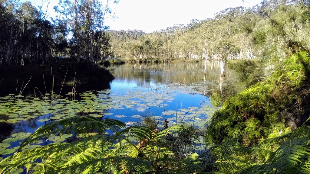 Urunga Wetlands Boardwalk | park | 1 Hillside Dr, Urunga NSW 2455, Australia