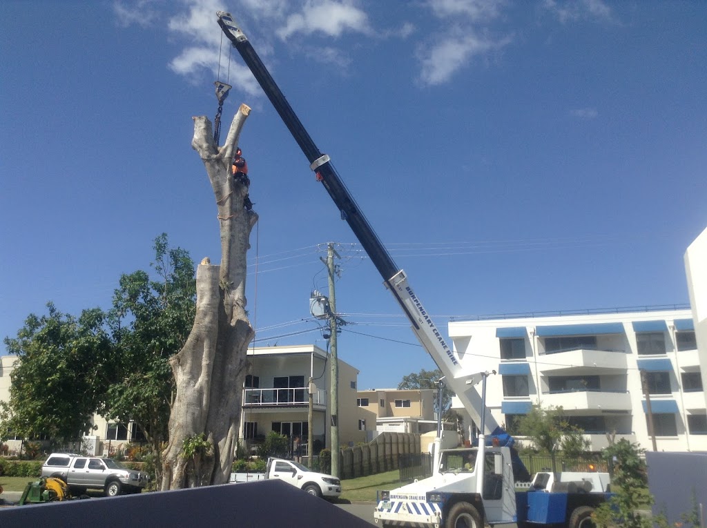 AllRound Tree Services | Whitepatch Esplanard, Bribie Island QLD 4507, Australia | Phone: 0476 377 995