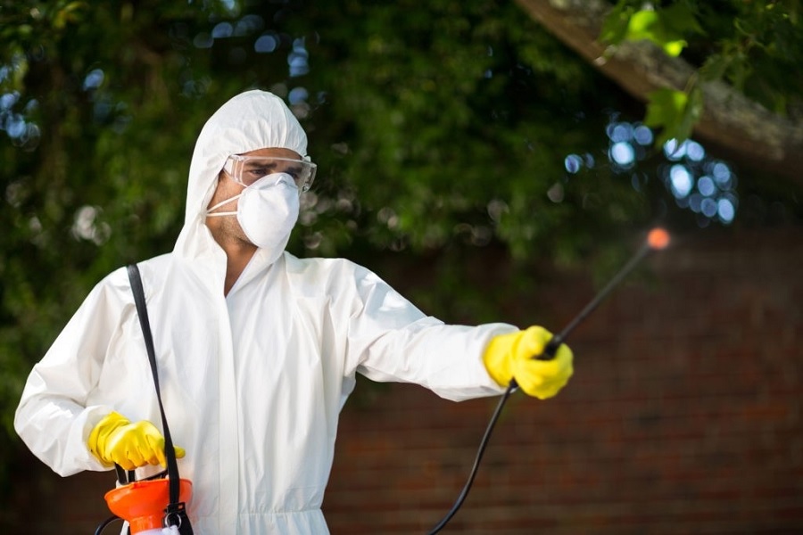 BugBusters pest control | William St, Lismore VIC 3324, Australia | Phone: (03) 8583 9751