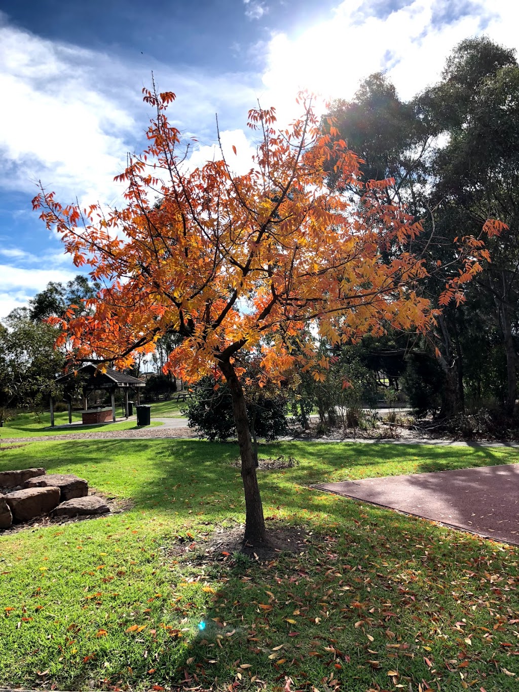 Talbot Park | park | Oakleigh South VIC 3167, Australia