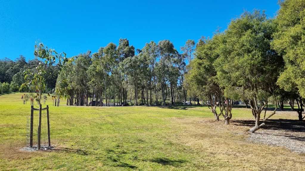 Treetops Adventure The Hills | Cumberland State Forest, 95 Castle Hill Rd, West Pennant Hills NSW 2126, Australia | Phone: (02) 9188 4051