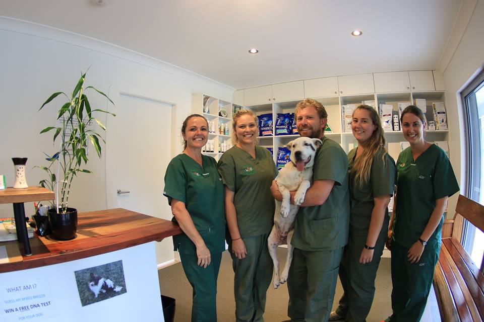 Sweet Pea Animal Hospital | veterinary care | 5 Sweet Pea Rd, Forster NSW 2428, Australia | 0265552555 OR +61 2 6555 2555