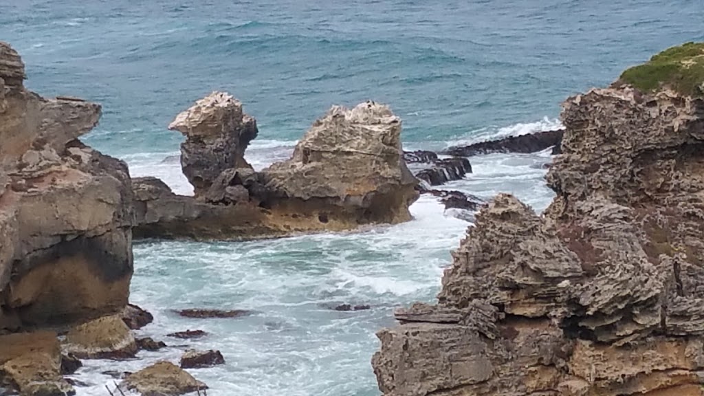 Fairy Penguin Colony | Port Macdonnell SA 5291, Australia