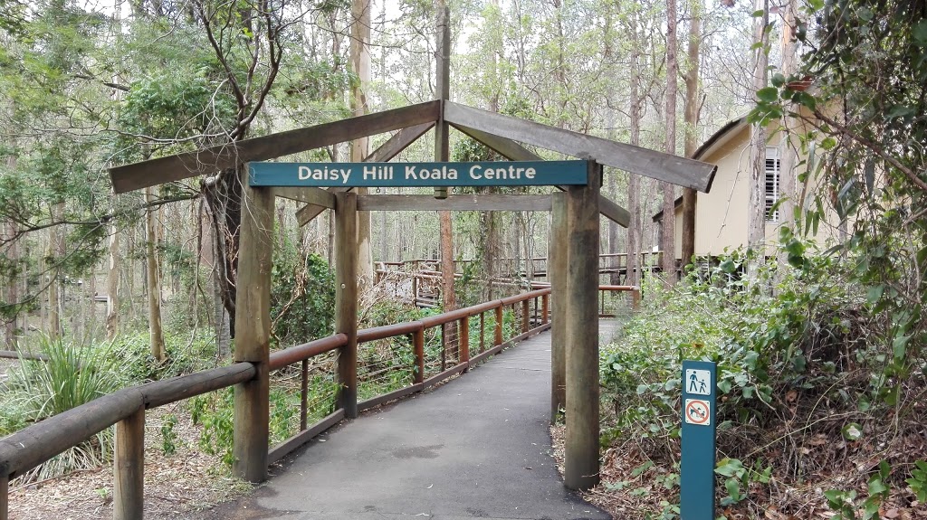 Daisy Hill Conservation Park | park | Daisy Hill Rd, Daisy Hill QLD 4127, Australia | 1300130372 OR +61 1300 130 372