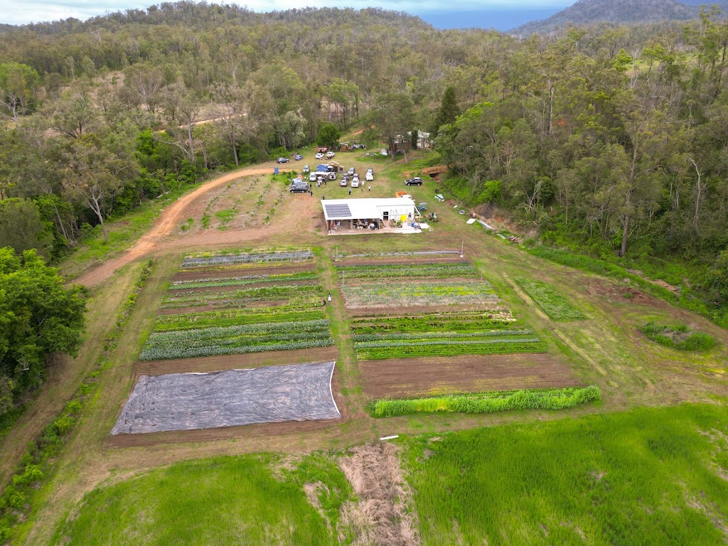 Ellias Garden | Farm Visits & Pick Your Own Produce | 1819 Tarome Rd, Moorang QLD 4340, Australia | Phone: 0491 100 661