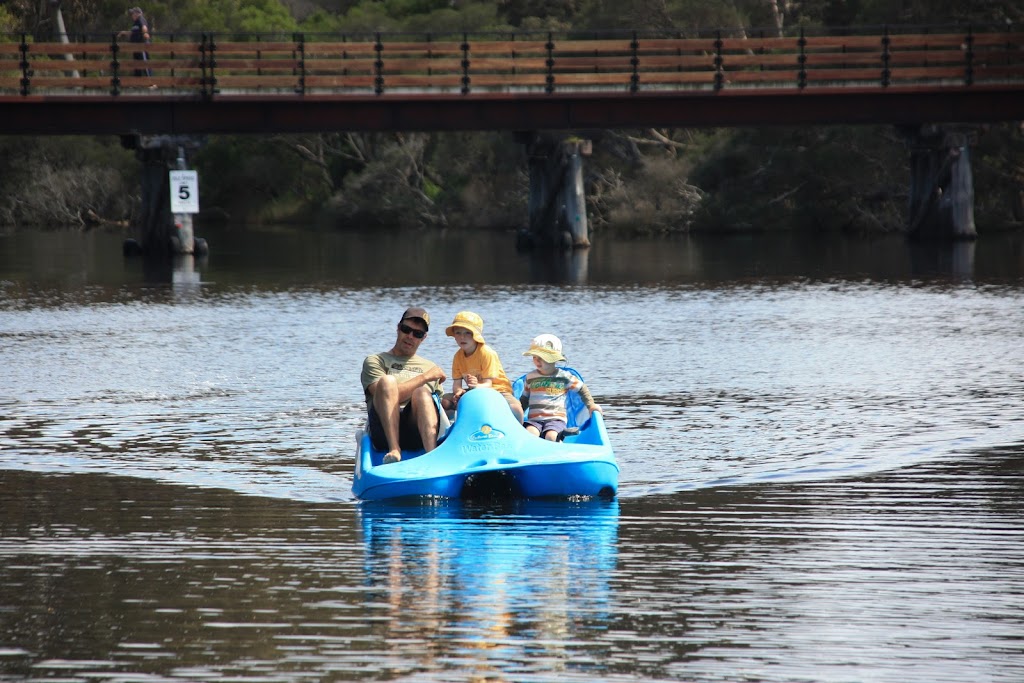 Denmark Rivermouth Paddle Boat and Kayak Hire | Denmark Rivermouth Caravan Park, Denmark WA 6333, Australia | Phone: (08) 9848 1262