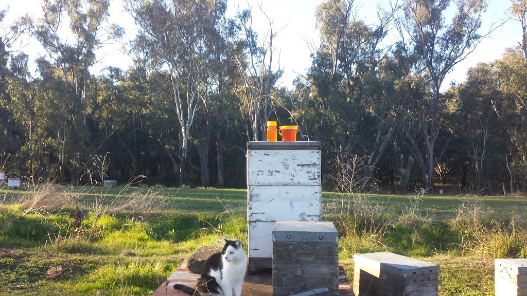 Yarrawonga Apiaries | 57 Cullens Rd, Yarrawonga VIC 3730, Australia | Phone: (03) 5744 2656