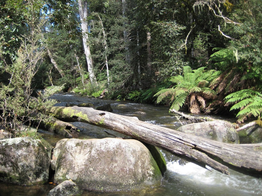 Barrington Tops State Conservation Area | Tomalla NSW 2337, Australia