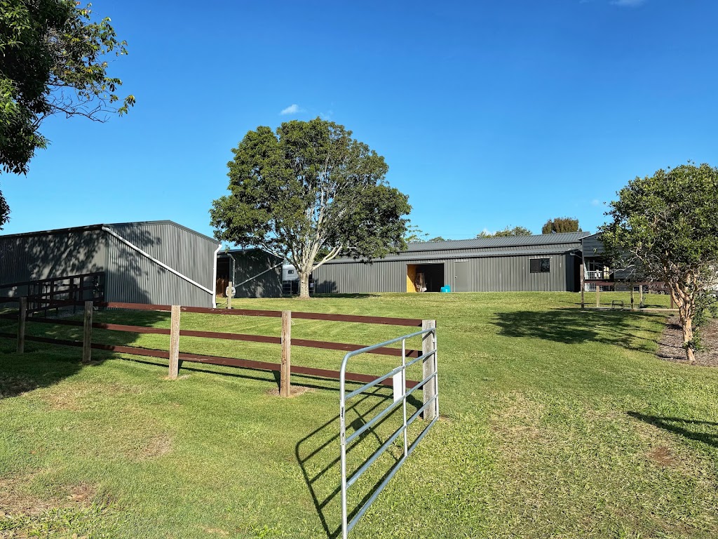 Allison Wright Equestrian | 475 Raaen Rd, Bracalba QLD 4512, Australia | Phone: 0468 585 529
