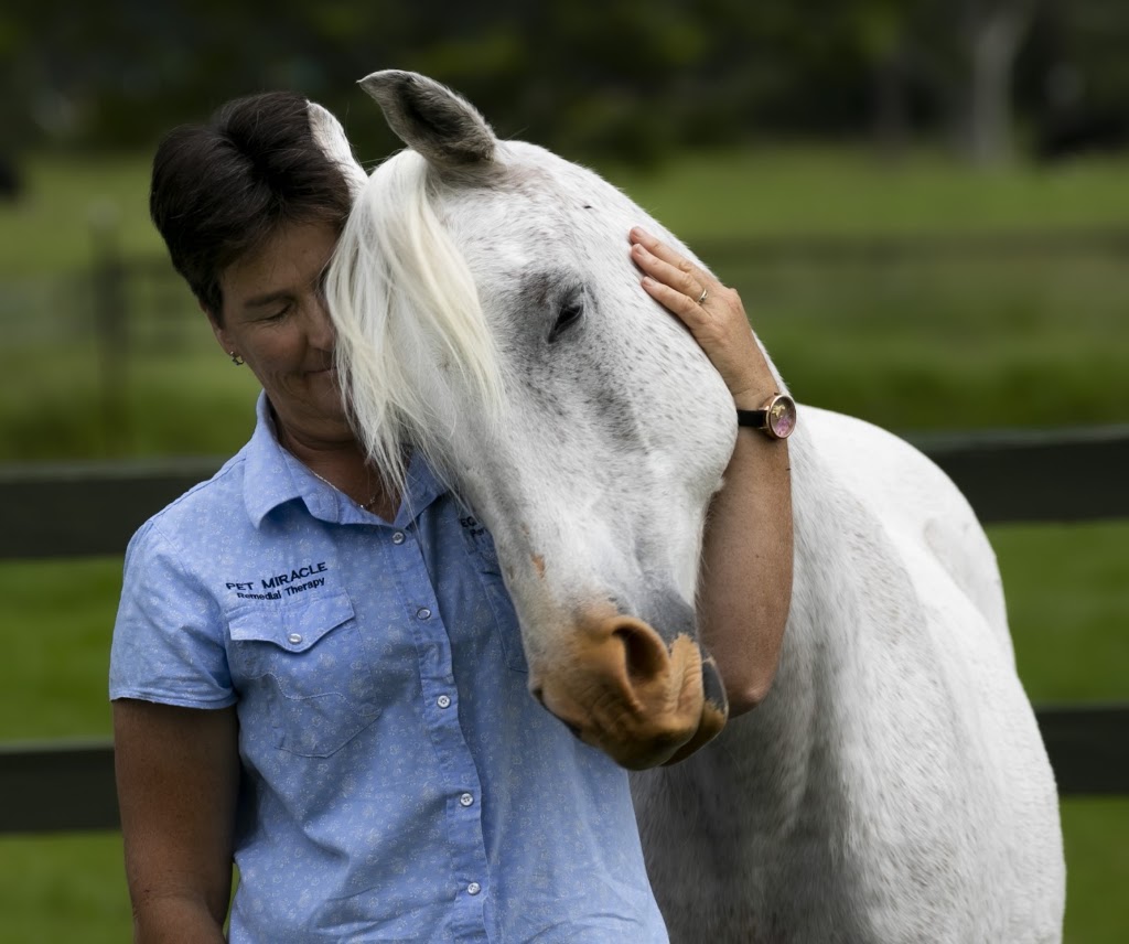 Equine Miracle | 15 Sutherland Dr, North Nowra NSW 2541, Australia | Phone: 0431 387 787