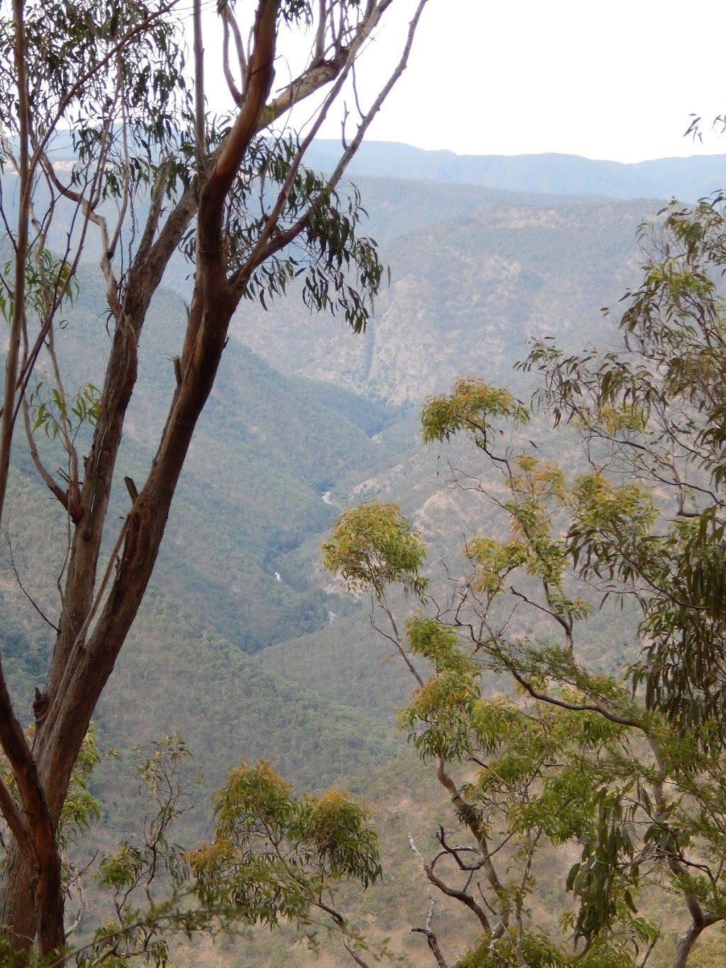 Oxley Wild Rivers National Park | Hillgrove NSW 2350, Australia