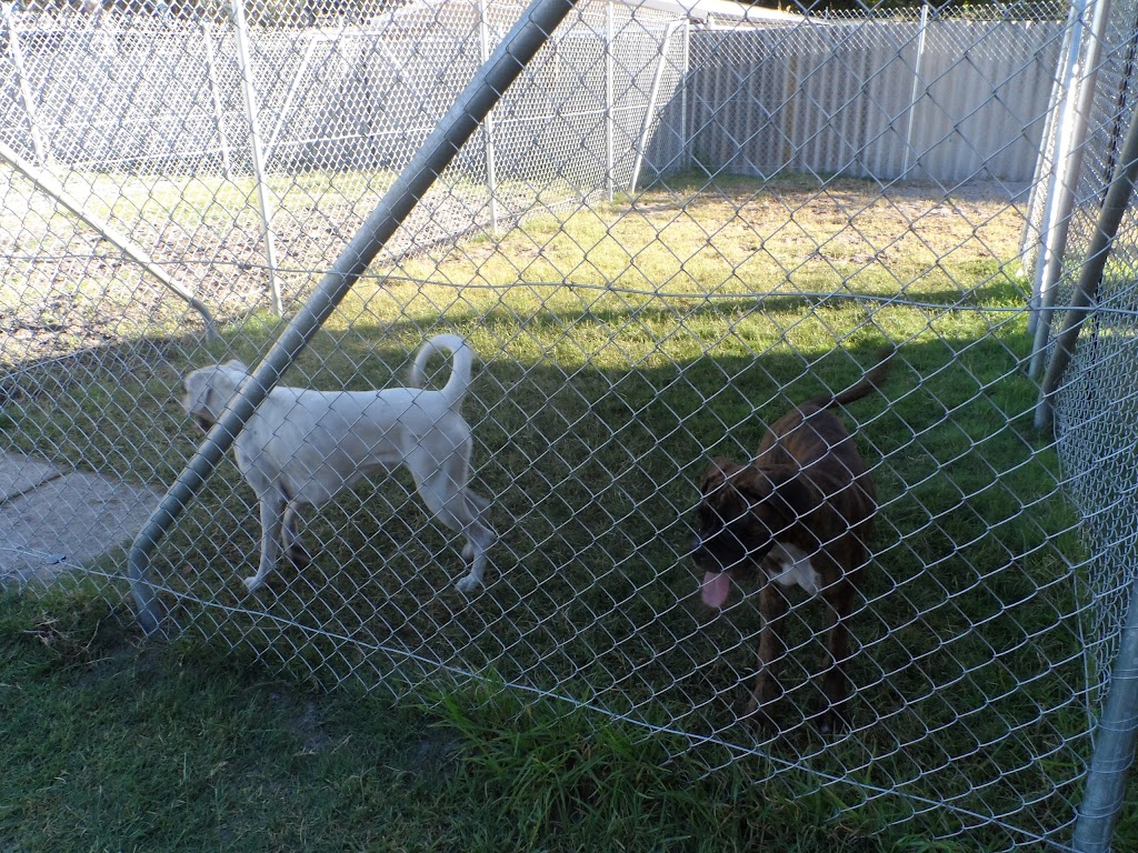 Best Buddies Boarding Kennels |  | 20 CANDELORO Rd, Canning Vale WA 6155, Australia | 0403917108 OR +61 403 917 108