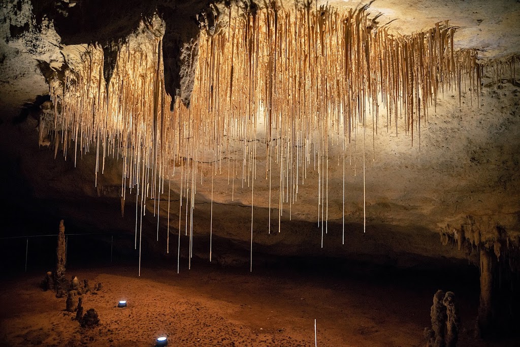 Naracoorte Caves National Park | Naracoorte SA 5271, Australia | Phone: (08) 8762 2340