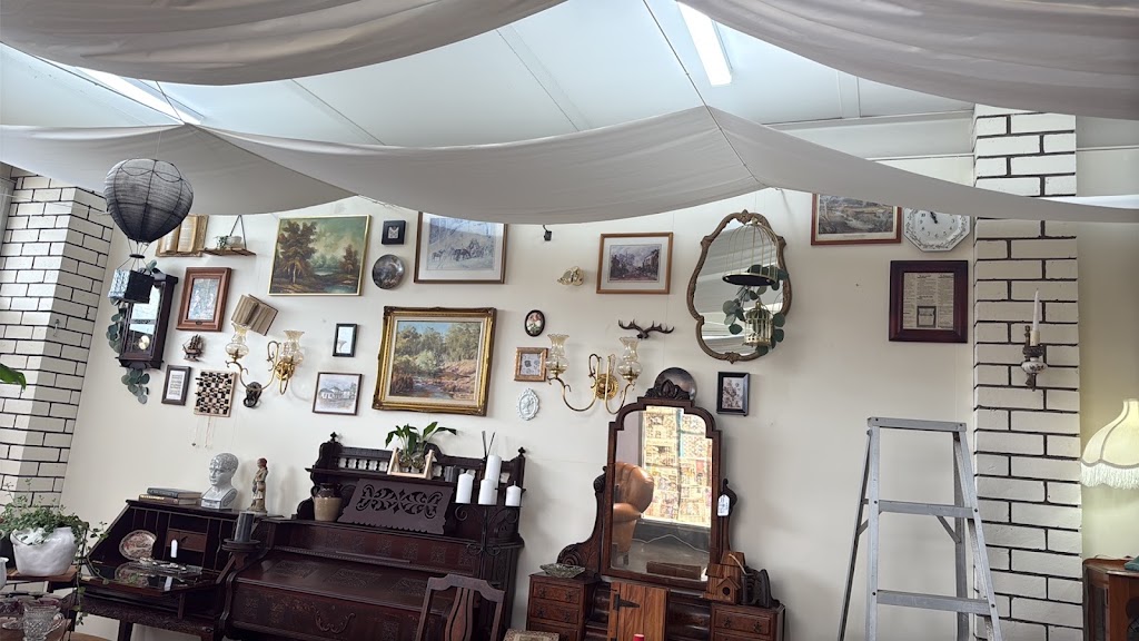 The Curiosity Shoppe | 181 Charles St, Beauty Point TAS 7270, Australia | Phone: 0492 138 242