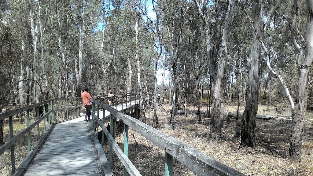 Reed Beds Bird Hide, Murray Valley National Park | Mathoura NSW 2710, Australia