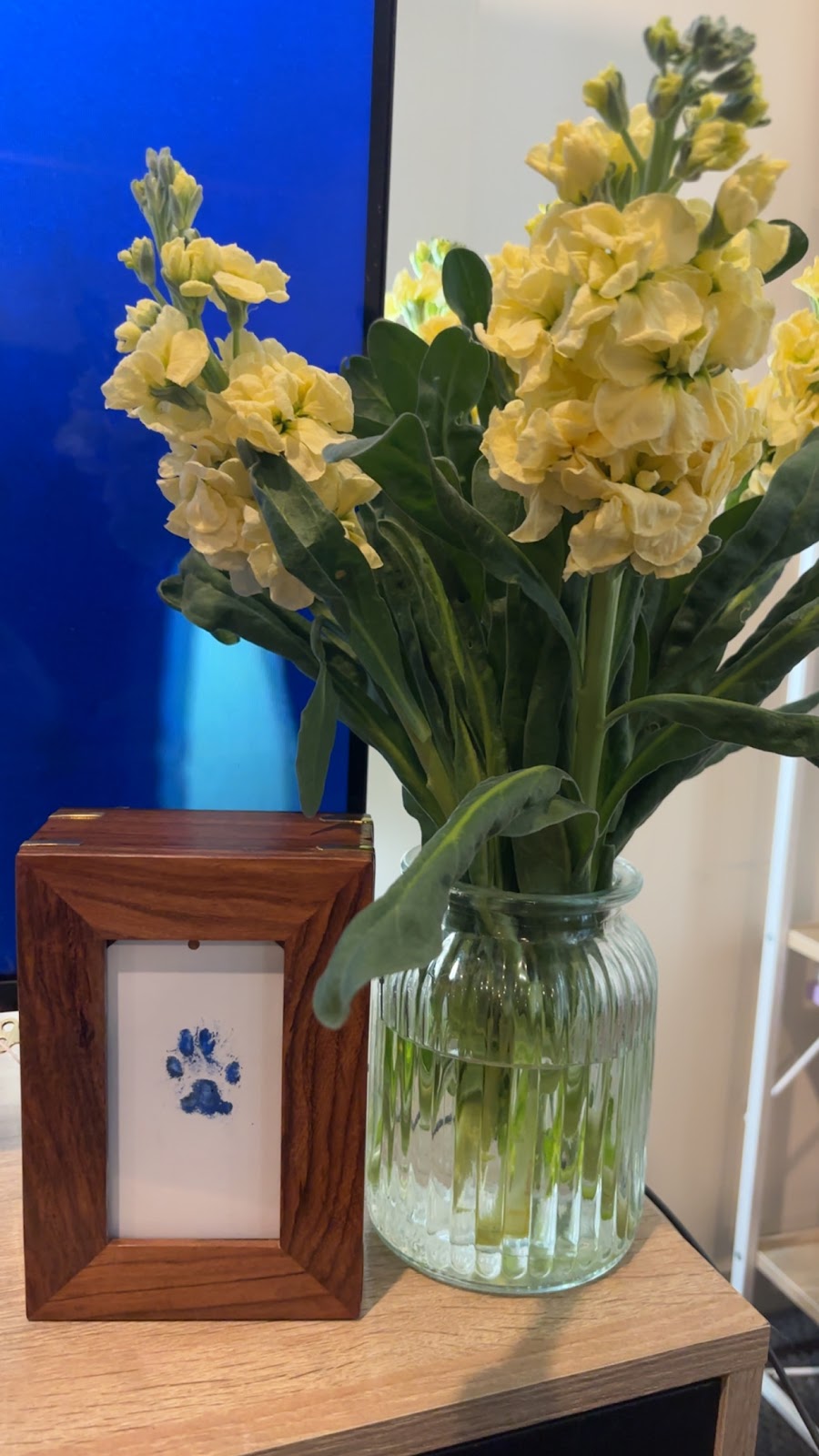 AAA Animal crematorium | 139 Mortons Rd, Pentland Hills VIC 3340, Australia | Phone: 0486 313 628