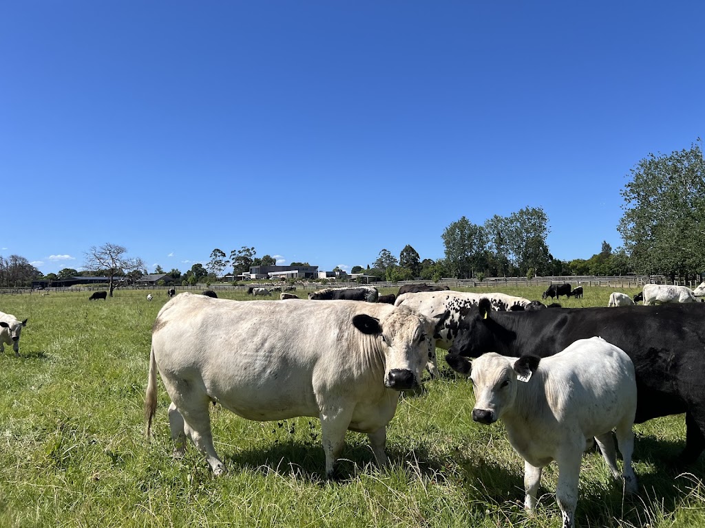 Gotcha Speckle Park | 43 Dumaresq Island Rd, Dumaresq Island NSW 2430, Australia | Phone: 0488 988 244