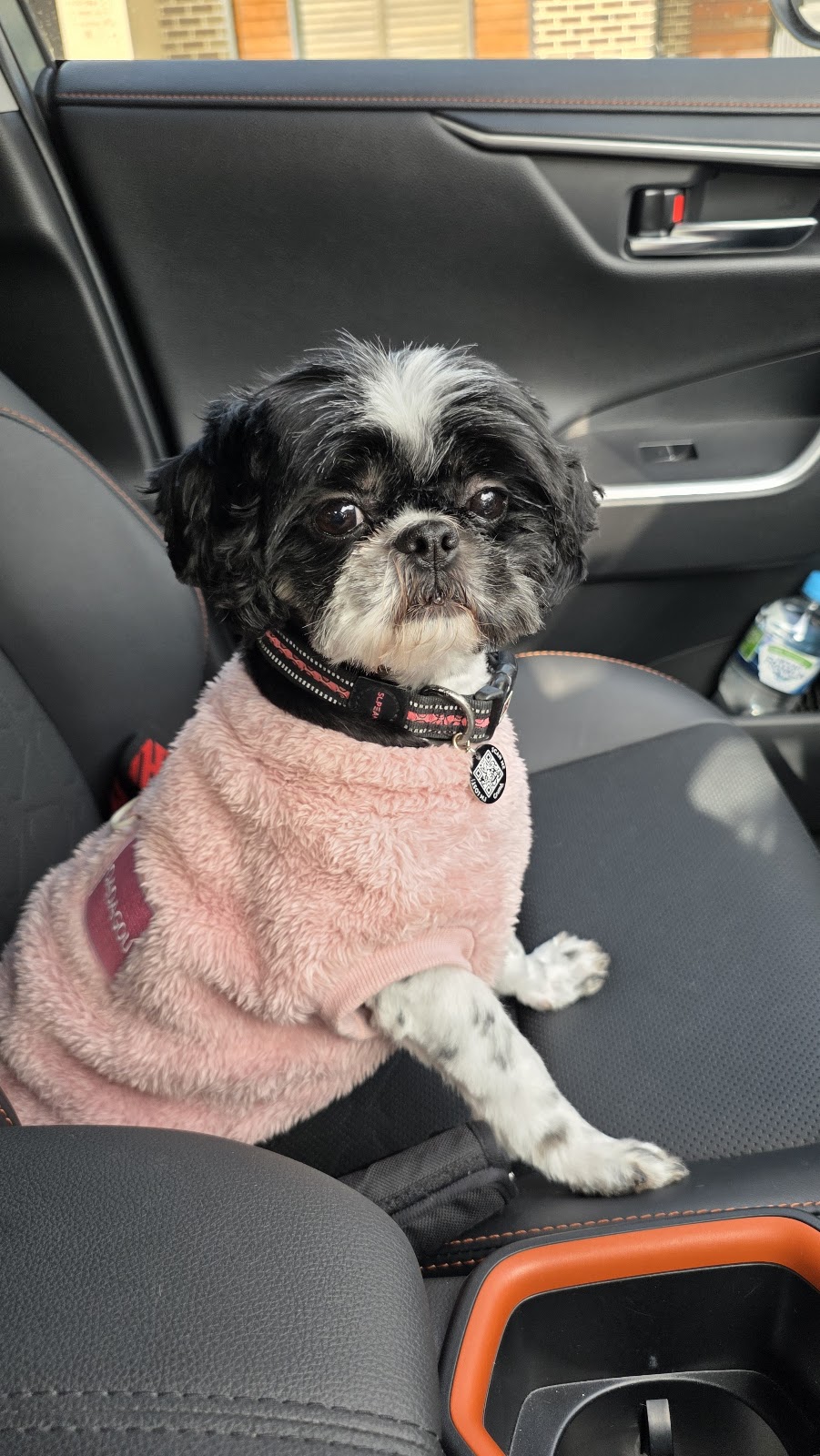 Pooch Pamper Grooming | 515 Wallan Rd, Whittlesea VIC 3757, Australia | Phone: 0432 328 644