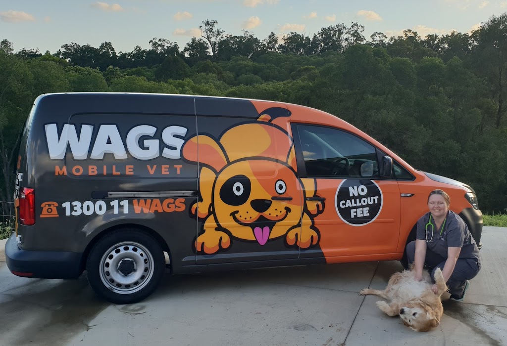 Wags Mobile Vet | Road, Cashmere QLD 4500, Australia | Phone: 0416 929 461