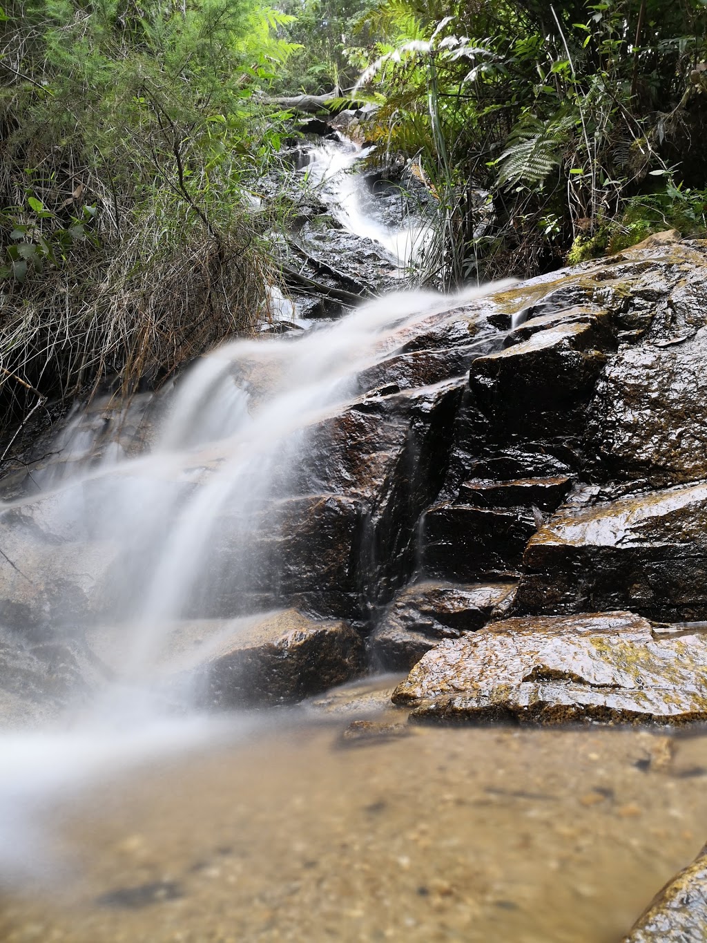 Lawsons Falls Picnic Ground. |  | Forest Rd, Gentle Annie VIC 3833, Australia | 131963 OR +61 131963