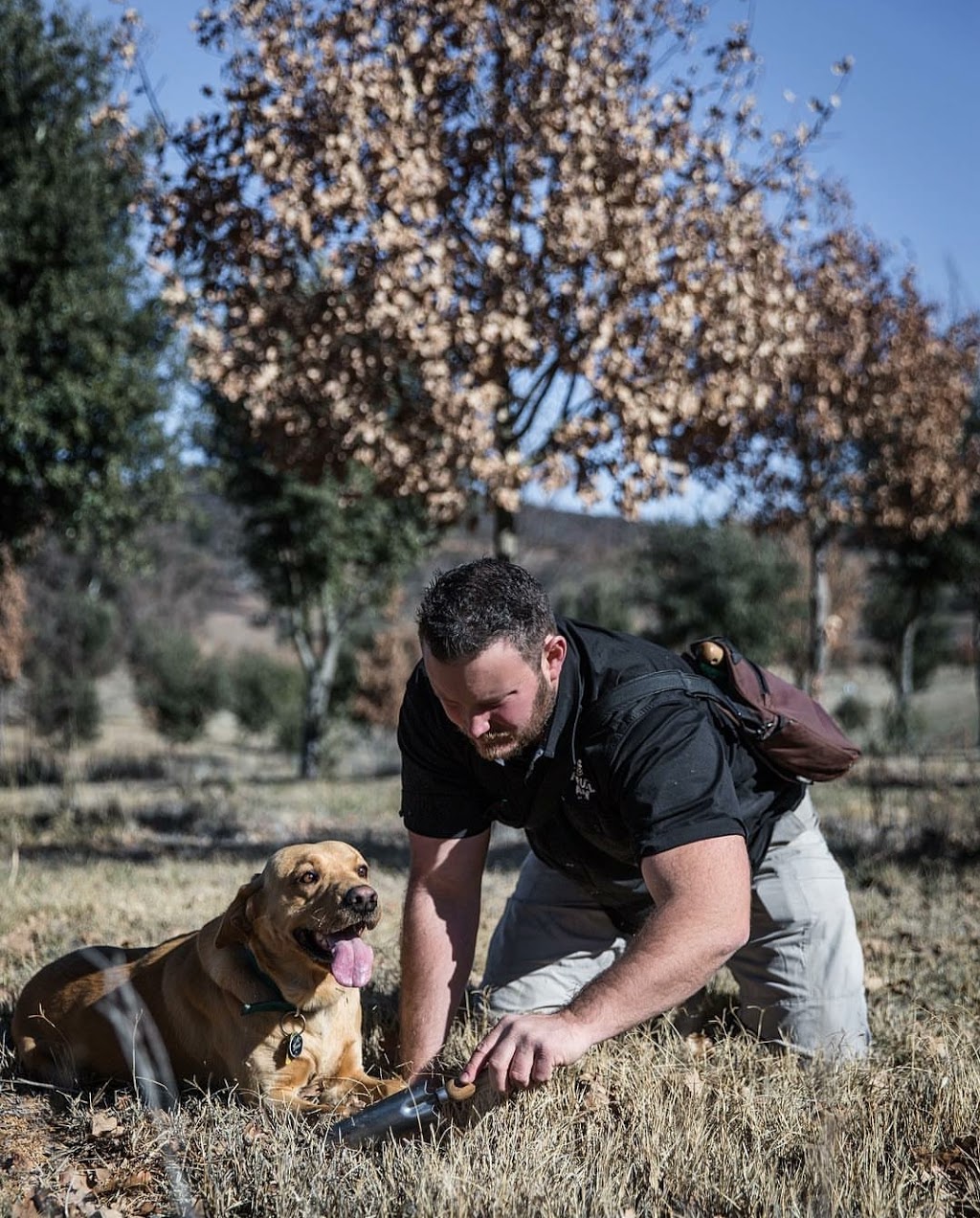 The Truffle Farm | 23 Mount Majura Rd, Australian Capital Territory 2609, Australia | Phone: 0400 483 082