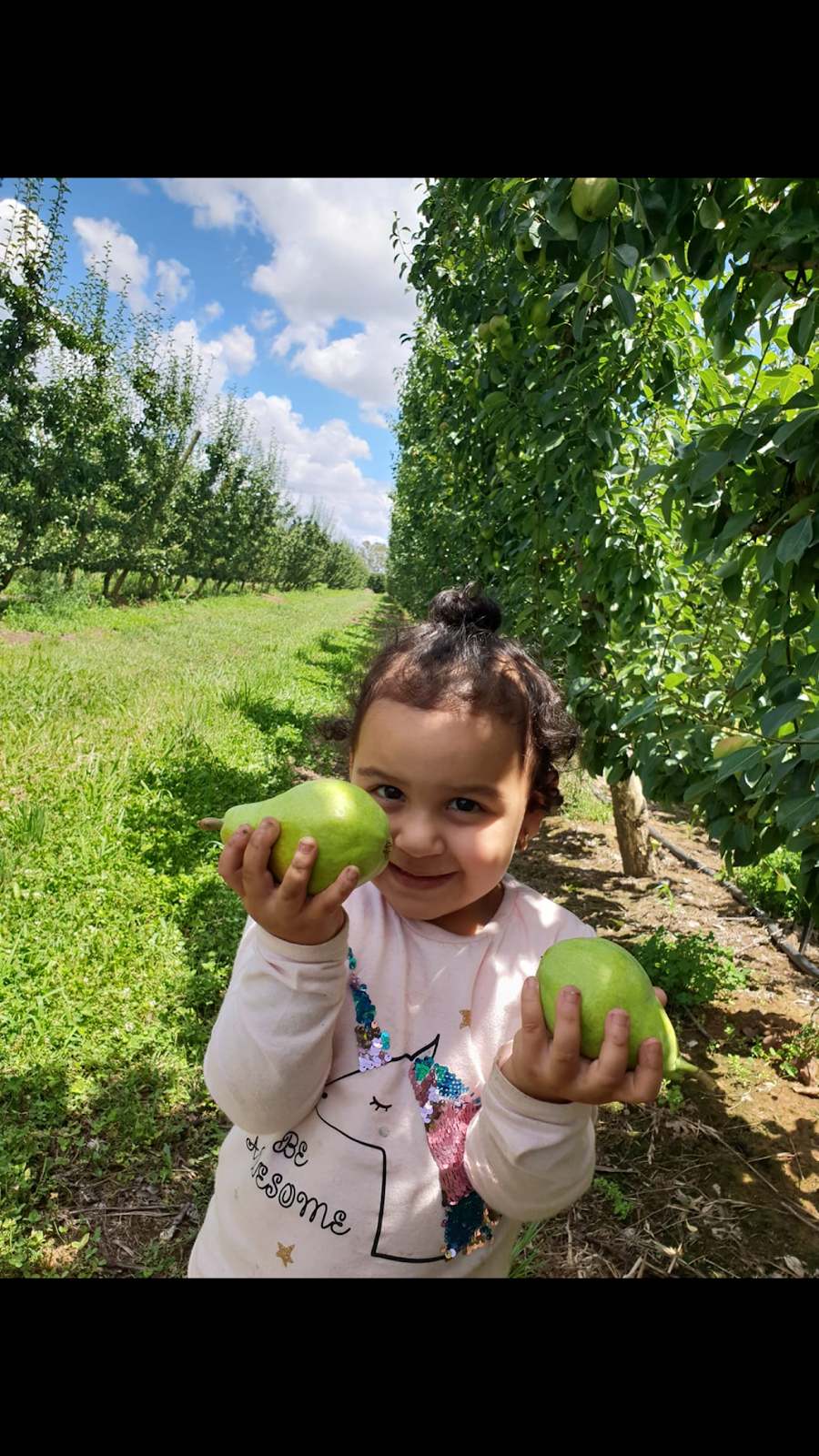 Eren’s Fresh Produce | 990 Craven Rd, Toolamba West VIC 3614, Australia | Phone: 0408 066 321 Eren’s Fresh Produce | 990 Craven Rd, Toolamba West VIC 3614, Australia | Phone: 0408 066 321