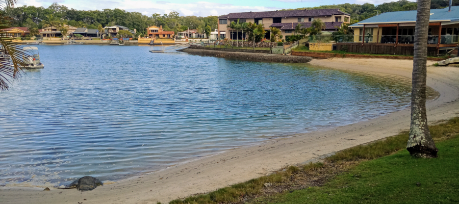 Gold Coast Fishing Spots - Melaleuca Drive Canal Reserve North | park | 18 Melaleuca Dr, Palm Beach QLD 4221, Australia