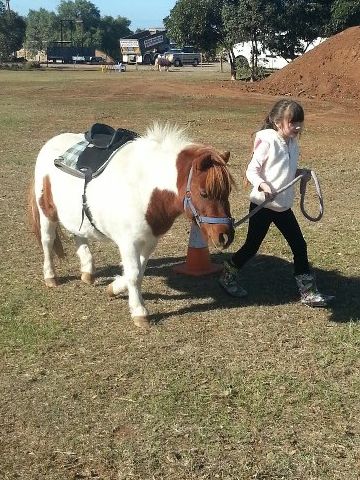 Exford Party Ponies | food | 85 Murphys Rd, Exford VIC 3338, Australia | 0433328022 OR +61 433 328 022