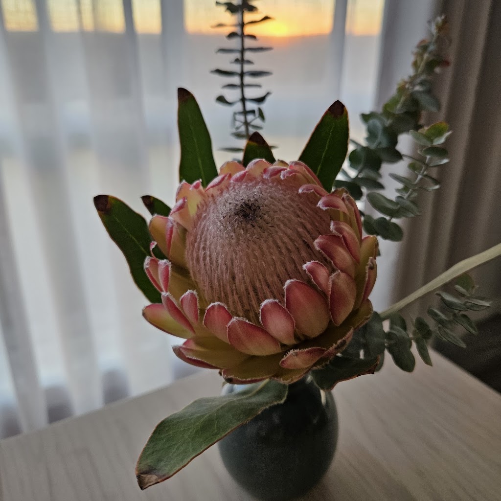 Magpie Flower Co | 100 Magpie Cres, Mannum SA 5238, Australia | Phone: 0402 068 430