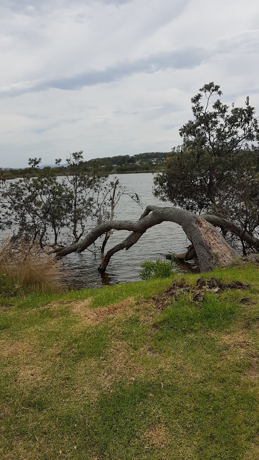The Slips or Corringle Slips | park | Marlo VIC 3888, Australia