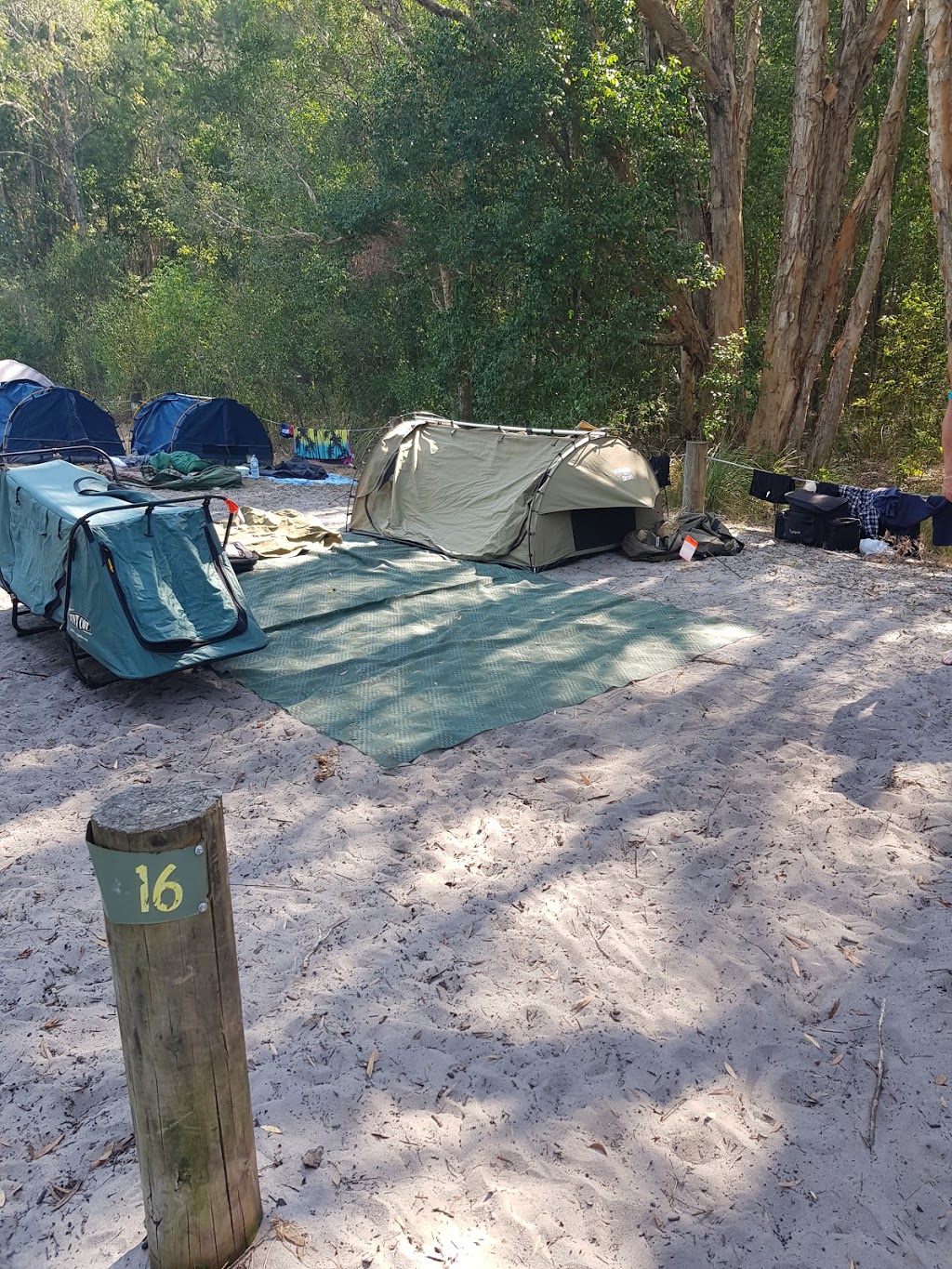 Johnsons Beach campground | campground | Johnsons Beach Trail, Mungo Brush NSW 2423, Australia | 0265910300 OR +61 2 6591 0300