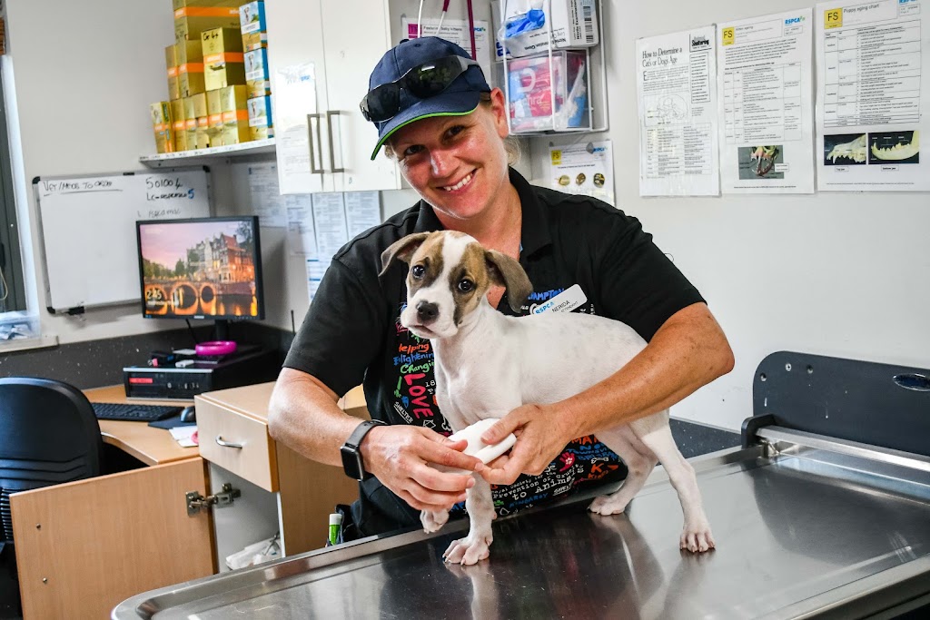 RSPCA Mackay | Mount Bassett Cemetery Rd &, Strickland Rd, Mackay Harbour QLD 4740, Australia | Phone: 0407 787 571