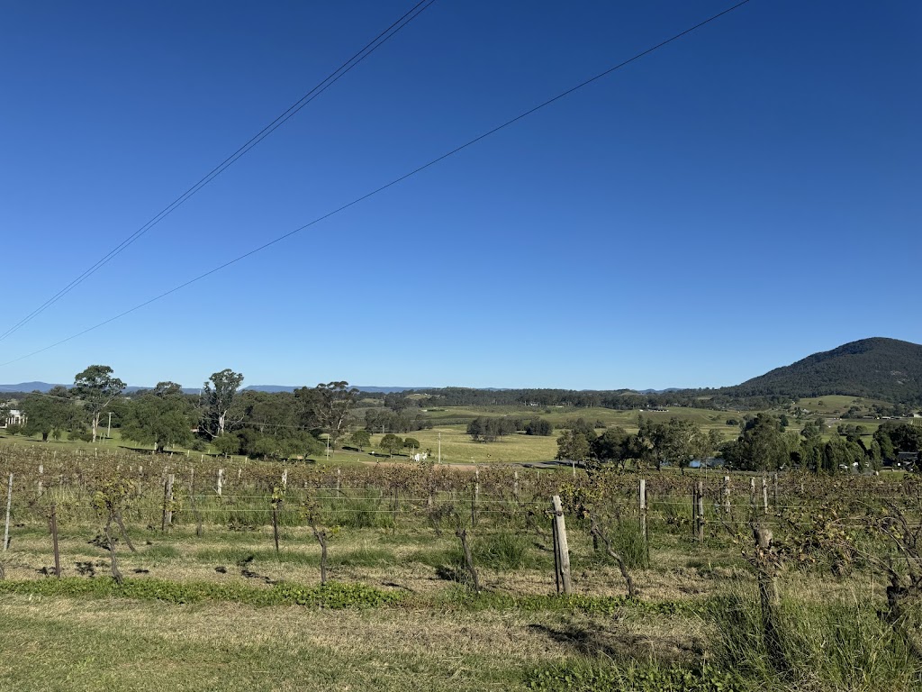 Fig Tree at Ben Ean | 673H+HG, Pokolbin NSW 2320, Australia | Phone: (02) 4993 3700