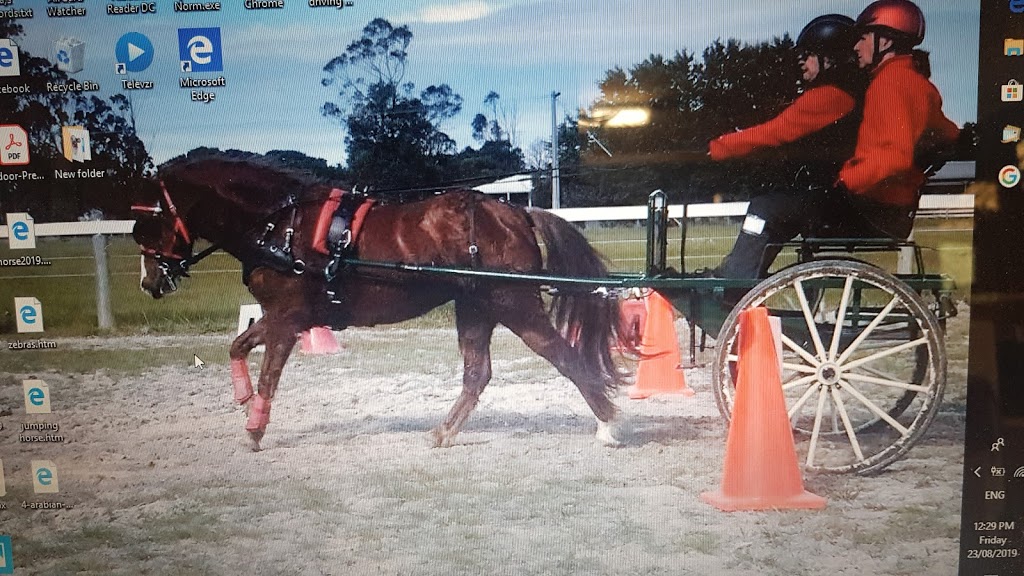 Gippsland Pleasure Harness Society Inc. |  | Taplins Rd, Catani VIC 3981, Australia | 0359428485 OR +61 3 5942 8485