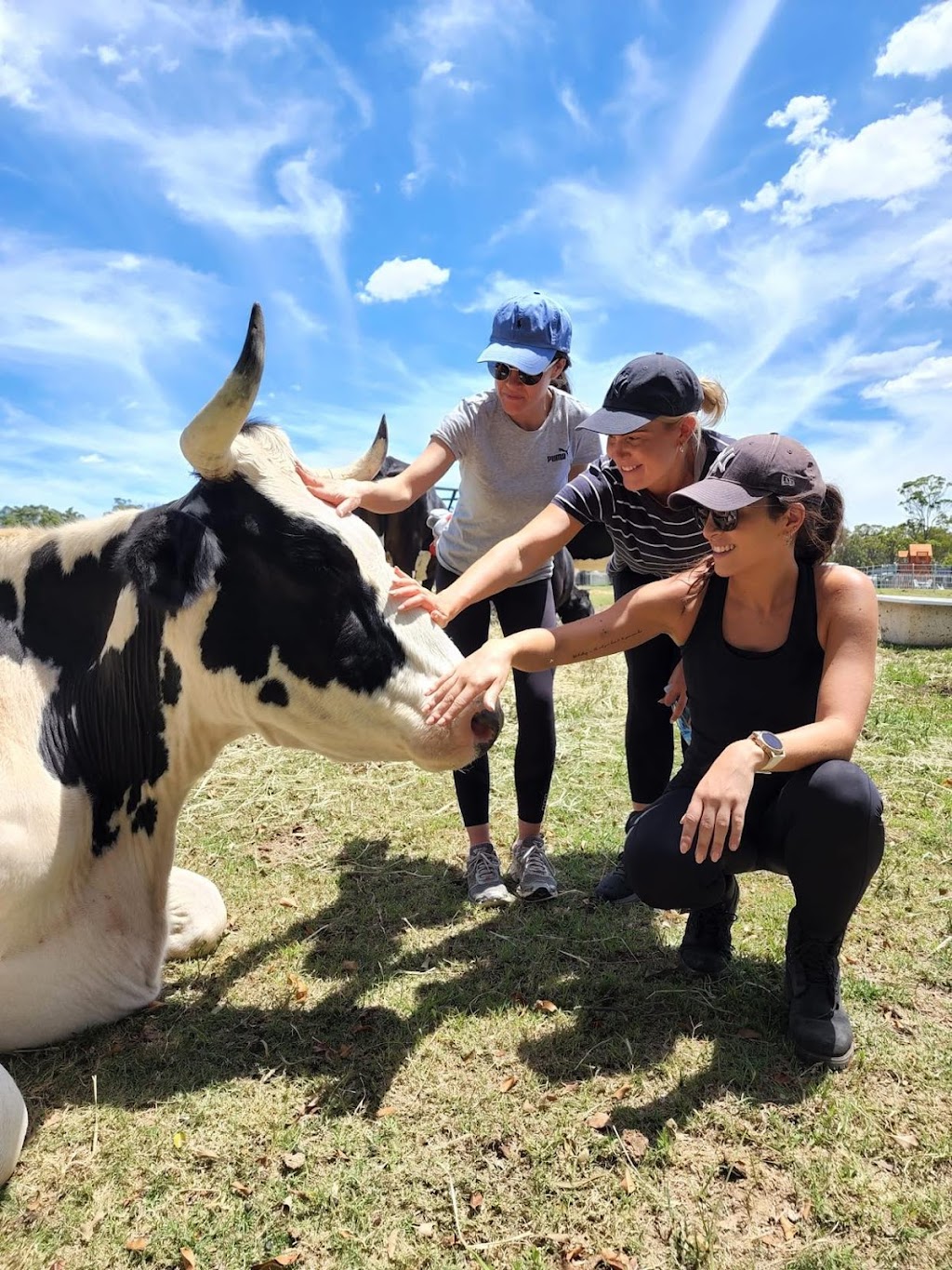 Compassion Connect | 1374 Mount Cotton Rd, Burbank QLD 4156, Australia | Phone: 0438 578 883