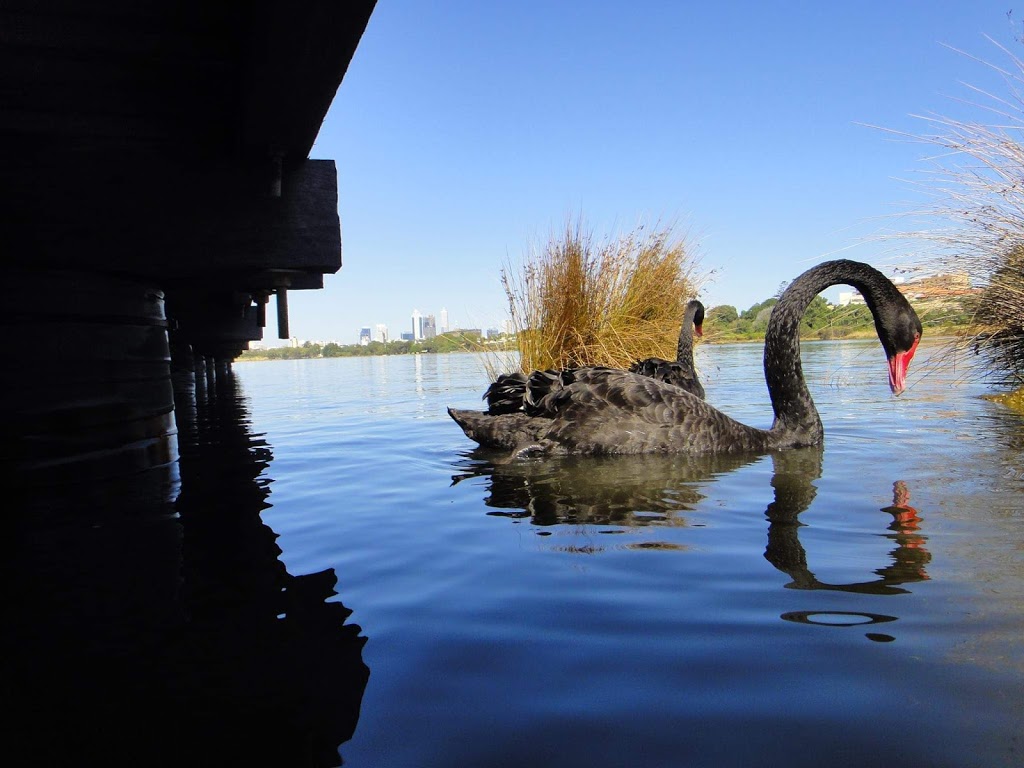 Maylands Jetty | East St, Maylands WA 6051, Australia | Phone: 0400 265 071