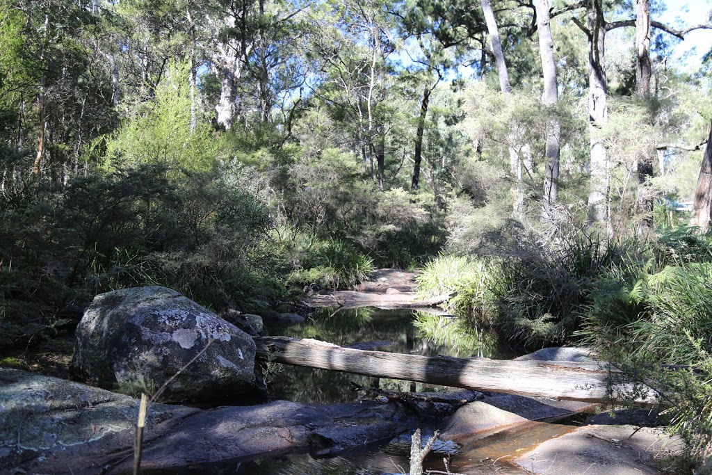Chaelundi campground | Misty Creek Road, The Gulf NSW 2365, Australia | Phone: (02) 6657 2309
