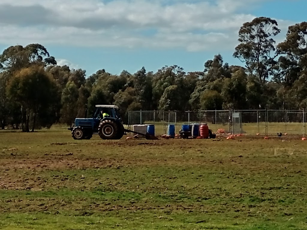 Trevs Farm | 205 Mount View Rd, Goldsborough VIC 3472, Australia | Phone: 0418 566 295