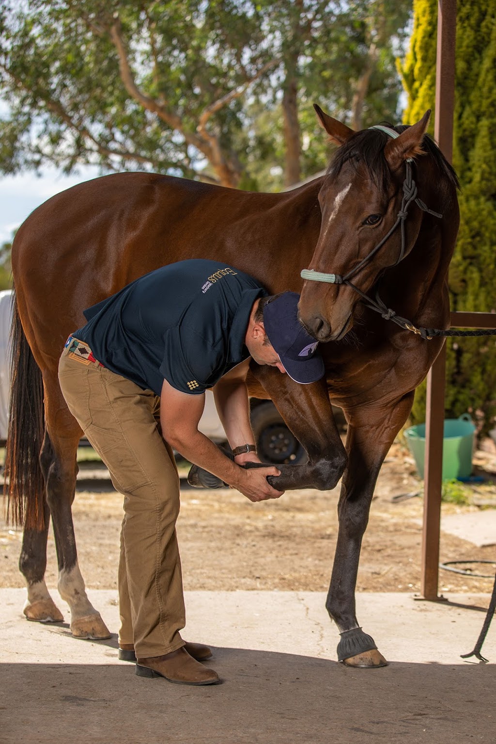 Equus Veterinary Services | 78 Fullwoods Rd, Mount Pleasant SA 5235, Australia | Phone: 0437 877 004