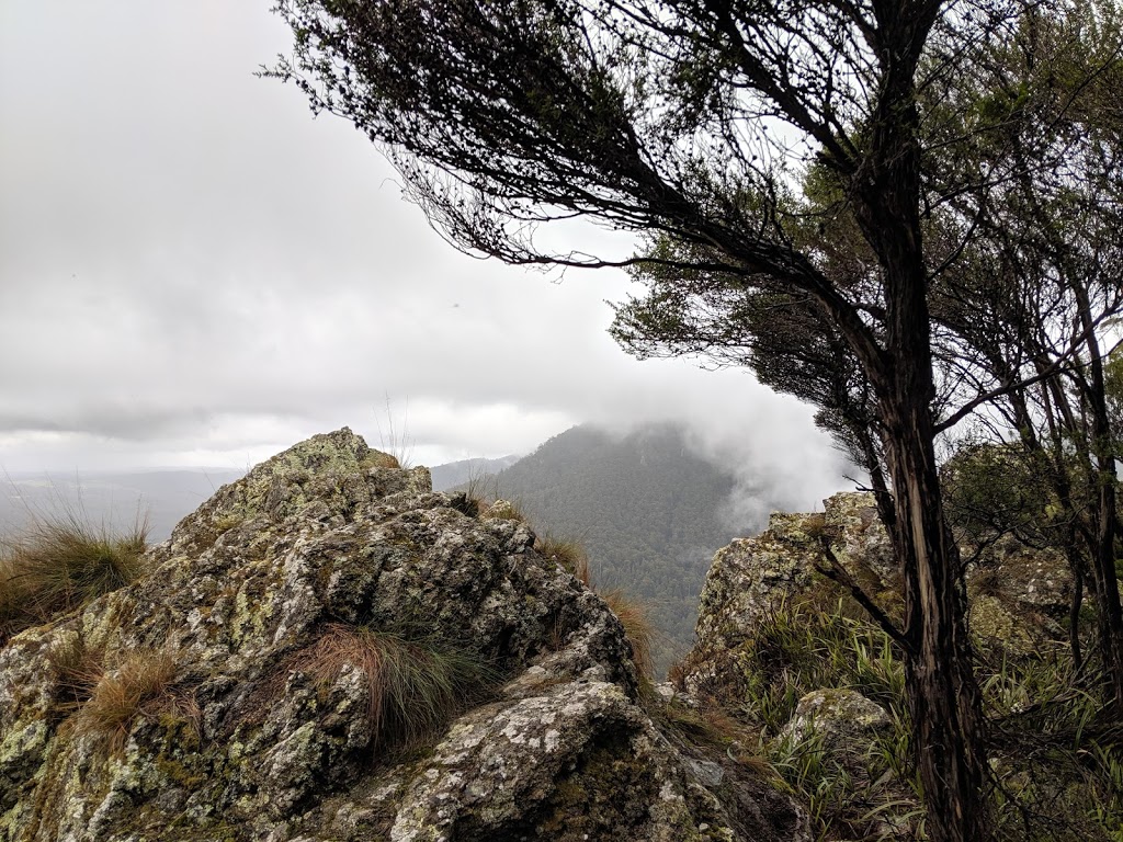 Mount Gnomon | Mount Dial Track, Penguin TAS 7316, Australia