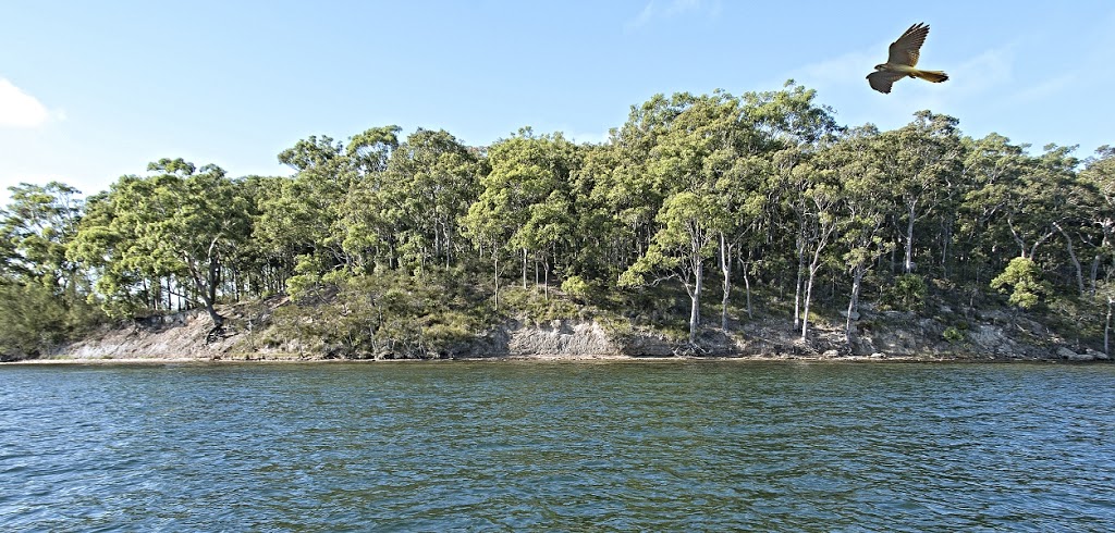 Pulbah Island Nature Reserve | Lake Macquarie NSW 2259, Australia