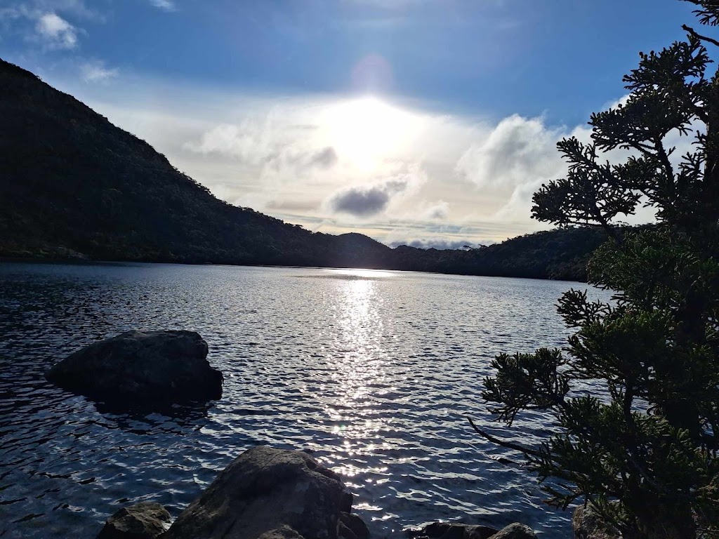 The Harmonic Healers | 16 Dances Rd, Cygnet TAS 7112, Australia | Phone: 0413 587 943