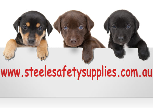 Steele Safety Supplies Pty Ltd | 1 Bertram Rd, Tumbi Umbi NSW 2261, Australia | Phone: 0435 359 926